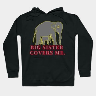 Big Sister Cover me - A little Elephant and her Big One Hoodie